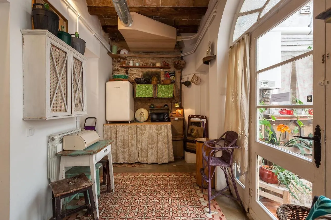 El Patio De Gracia Apartment Barcelona 0*,